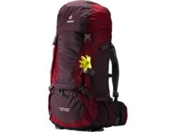 DEUTER Touren-RucksackAlpamayo 50+10SL