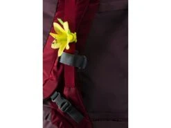 DEUTER Touren-RucksackAlpamayo 50+10SL 7 DEUTER Touren-RucksackAlpamayo 50+10SL -Deuter Camping-Ausrüstung Verkäufe server 700