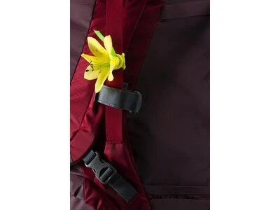 DEUTER Touren-RucksackAlpamayo 50+10SL 3 DEUTER Touren-RucksackAlpamayo 50+10SL – Bild 3