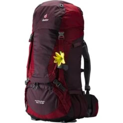 DEUTER Touren-RucksackAlpamayo 50+10SL 9 DEUTER Touren-RucksackAlpamayo 50+10SL -Deuter Camping-Ausrüstung Verkäufe server 702